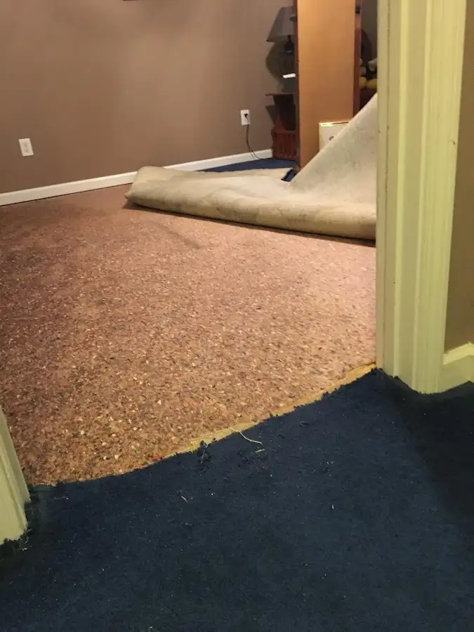 Carpet pad removal revealing water damage during Water Mitigation Services in Rittman